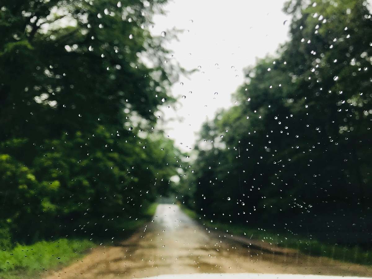 wi 54016 concrete road surrounded with tall and green trees during rainy day usa